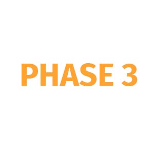 Phase 3