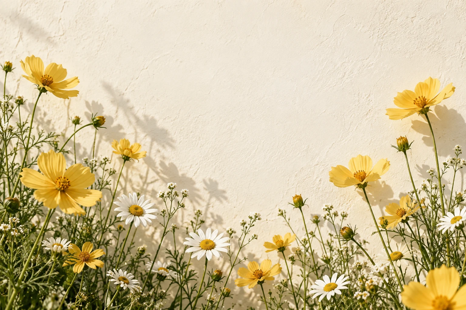 Yellow flowers reaching towards the sunlight